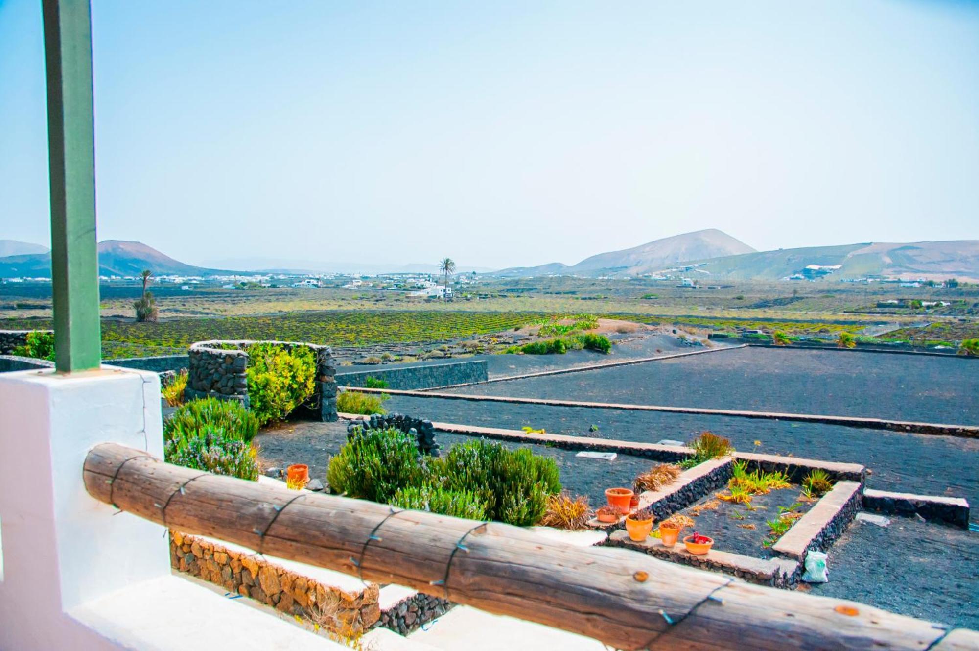 Villa Volcan Masdache Dış mekan fotoğraf